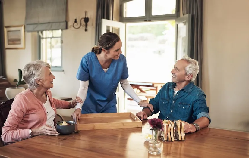 elder companion services 